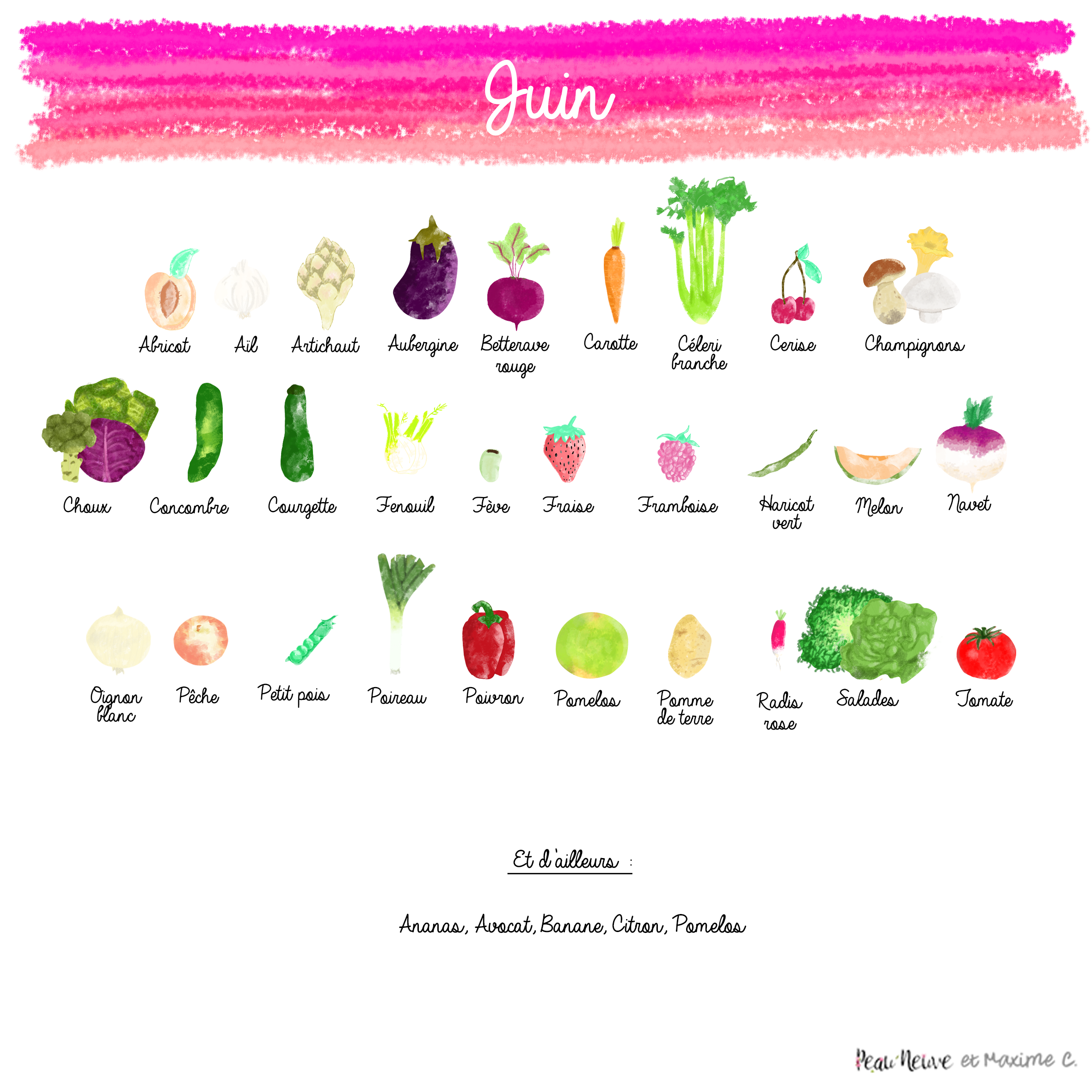 Fruits et Légumes biologiques du mois de Juin