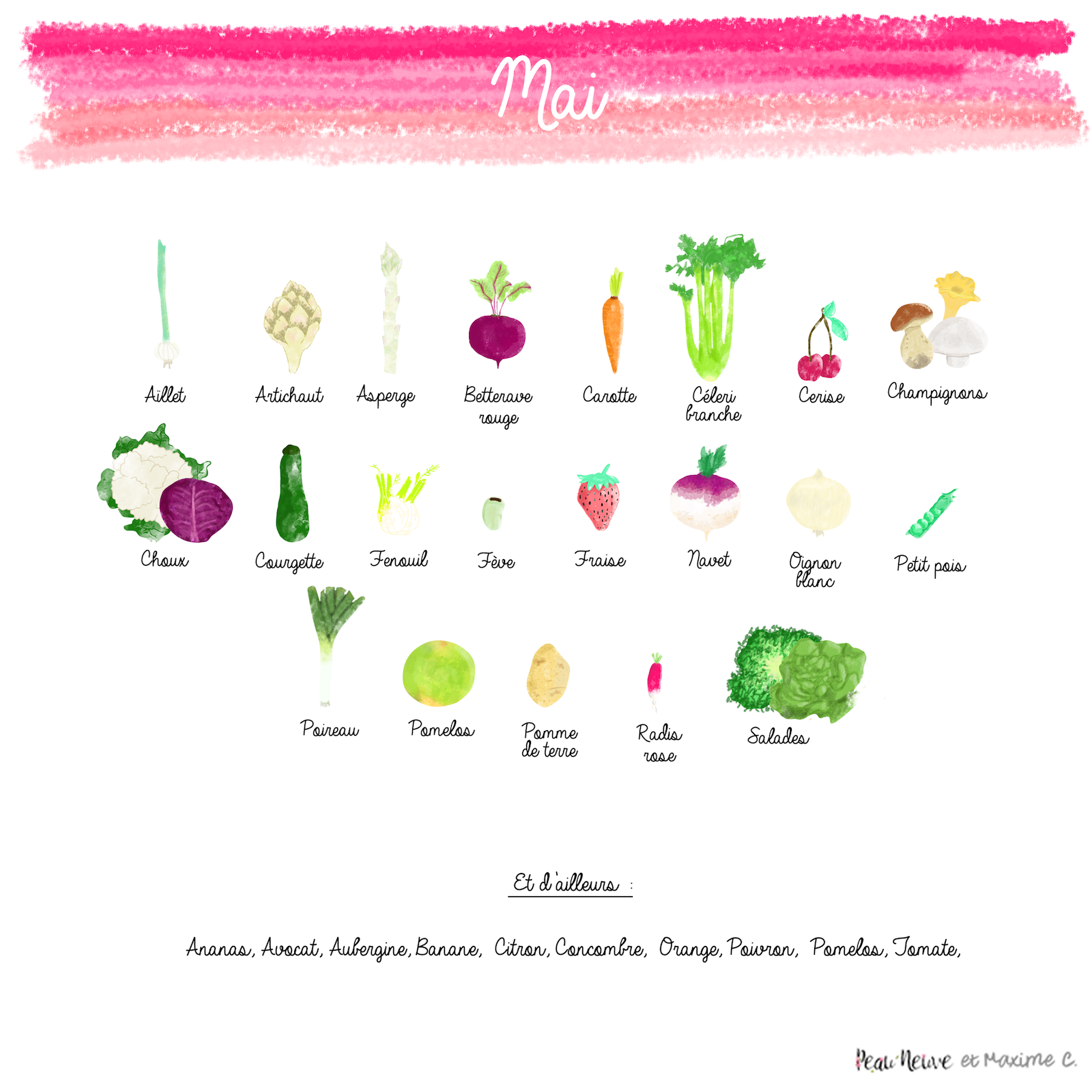Fruits et Légumes biologiques du mois de Mai