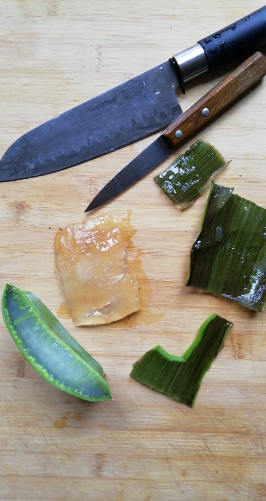 recette boisson aloe vera maison