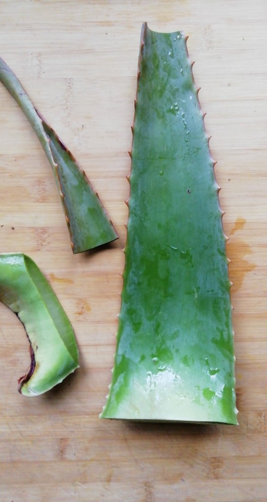 recette boisson aloe vera maison