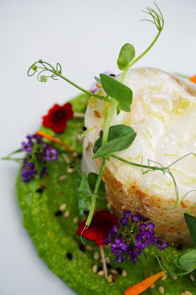 photographe hotel restaurant paris bretagne morbihan